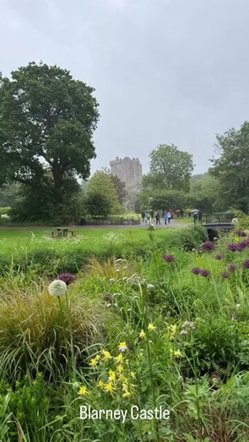 Visiting Blarney Castle is a must for anyone traveling to Ireland, not just for the legendary Blarney Stone, but also for the lush, meandering grounds just beyond the battlements. After kissing the Blarney Stone, we spent several lovely hours just wandering through the winding trails of the 60 acre estate. The grounds are a blend of stunning manicured gardens and wild, untamed spaces full of natural beauty. One of our favorite spots was the Poison Garden, home to a fascinating (and slightly eerie) collection of toxic plants, each with its own cautionary tale. We also loved the Rock Close-a mystical corner of the estate scattered with ancient druidic stones, a witch’s kitchen, and the famous Wishing Steps, said to grant your heart’s desire if you walk them backward with your eyes closed. Ambling through the gardens proves that the magic of Blarney is as much in the journey as it is in the kiss. 📍 Address
Blarney Castle & Gardens
Monacnapa, Blarney, County Cork, Ireland
Eircode: T23 Y598
Phone: +353 (0)21 438 5252
Email: info@blarneycastle.ie
Website: blarneycastle.ie  #BlarneyCastle #VisitIreland #IrishCastle #BlarneyStone #CastleGardens #IrelandTravel #DiscoverIreland #CorkAdventures #HistoricIreland #IrishMyths #TravelIreland #WanderIreland #BlarneyMagic #HiddenIreland #TravelBlogger #IrelandBucketList #FairyTaleCastle #IrishHeritage #LegendaryLandmarks #EnchantingPlaces