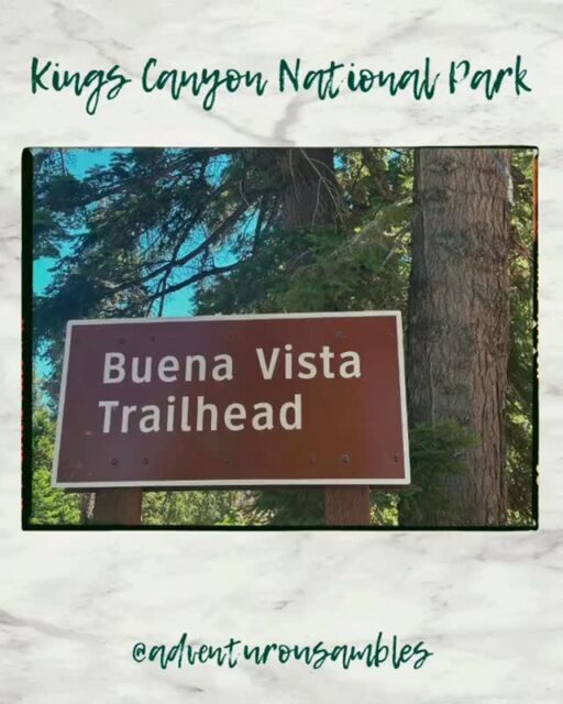 The Buena Vista Trail near Kings Canyon National Park is a scenic two-mile in and out that offers spectacular views. The hike winds past granite outcrops, rounded boulders, twisting manzanita, and shady fir and pine trees. Colorful wildflowers like lupine and poppies brighten the path, while incense cedar and pine frame views of rolling foothills and distant ridges. The trail ends with the sweeping “buena vista,” a peaceful vantage point where the Sierra’s rugged beauty stretches out before you. Definitely recommend!  Length: 2 miles (3.2 km) out and back
Elevation Gain: Approximately 400 feet (122 m)
Difficulty: Easy to moderate, with a gradual incline
Time: About 1-1.5 hours to complete
Dogs: Not allowed on the trail. 📍It’s located in the Grant Grove area of Kings Canyon. Coming from the south, it’s roughly 20 miles up Generals Highway from the Lodgepole Visitor Center.#adventurousambles #walkingtheworldswonders #BuenavistaTrail #KingsCanyon #SequoiaNationalForest #SierraNevadaHikes #CaliforniaTrails #GraniteViews #WildflowerHike #OakAndPine #NatureWalks #TravelCalifornia #HikingAdventures #VisitSequoia #TrailViews