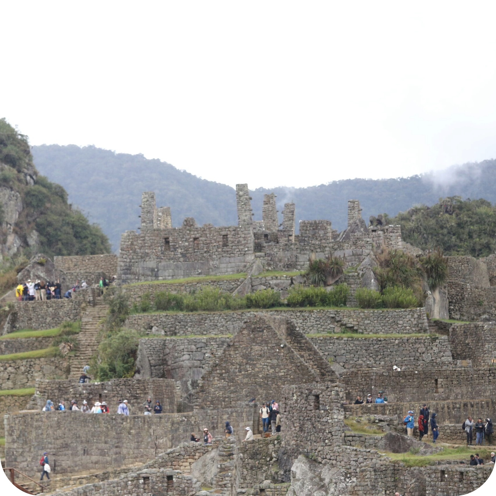 machu picchu ruins.jpeg