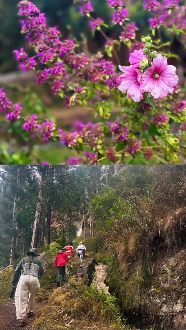 A waterfall hike in the Sacred Valley of Peru: From Munay Sonqo, we set off on a short trek to the Arín Waterfalls. The path climbs gently beside the river, gaining about 200 meters with the fresh scent of muña and the shade of eucalyptus, native queuña, and molle trees along the way. Partway up, we heard the steady beat of drums and soon saw a group of dancers in handwoven costumes moving in rhythm, honoring the mountains. To honor Pachamama (Mother Earth) ourselves, we each offered a k’intu of five coca leaves along the path. The trail continued past yellow t’ola shrubs, clumps of high-Andean grass, and hummingbirds flitting amongst the wildflowers. Soon, the twin cascades of Arín came into view, tumbling side by side in a silver curtain. Per local legend, the waterfalls were once two lovers, transformed into water so they could flow together forever. It is a memorable spot full of natural beauty and sacred energy.  Distance & Elevation: About 2 miles (3.2 km) round trip with ~650 feet (200 m) of elevation gain — plan for 1.5–2 hours including time at the falls. Difficulty: Easy to moderate — a steady uphill trail, suitable for most hikers who are acclimated to Sacred Valley altitude. Best Season: May–September for sunny skies and clear views; December–March if you want to see the falls at their most powerful (but trails may be muddy). #adventurousambles #walkingtheworldswonders #munaysonqo #ArinWaterfalls #SacredValleyHike #CuscoAdventures #TravelPeru #Pachamama #AndeanMagic #HiddenPeru #WaterfallChasing #NatureAndCulture #HikingPeru #MindfulTravel #SacredValleyVibes