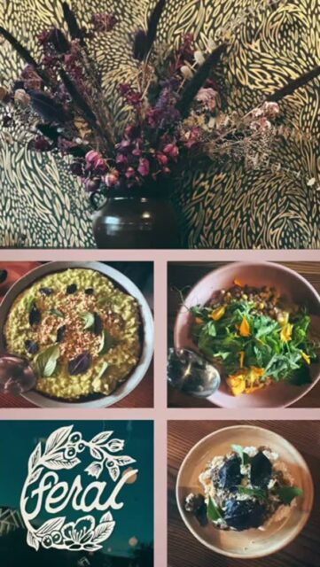 While in Portland, we treated ourselves to Feral, a cozy, intimate, fully vegan restaurant. It celebrates the wild side of plant-based cuisine through foraged, locally sourced ingredients. The kitchen is helmed by chefs Ryan Koger and August Winningham—who began Feral as a pop-up in 2022 and quickly evolved it into an acclaimed brick-and-mortar destination. The menu is a constantly evolving tapestry of creative small plates, inventive desserts, natural wines, and craft cocktails. https://feralvegan.com/gb-restaurant-2-menu/  A must visit! 📍1640 NE Killingsworth St, Portland, OR 9721.  #FeralPortland #PortlandVegan #VeganTravel #PlantBasedEats #ForagedFood #FoodieAdventure #PortlandRestaurants #VeganDining #PortlandEats #TravelPortland #adventurousambles