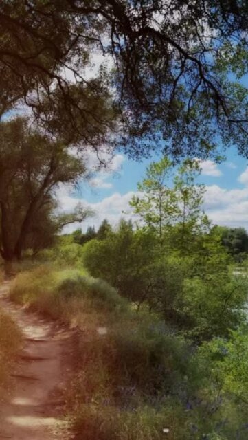 Sometimes the best path isn’t the fastest or the most familiar. It’s the one that leads you back to yourself. 🌿
Welcome to Adventurous Ambles, where we explore the world one meaningful step at a time.
From peaceful wilderness trails to unforgettable city walks, you’ll find thoughtfully created walking guides, travel itineraries, practical tips, and destination-inspired reading lists to help you slow down, look closer, and connect more deeply with every place you visit.
Ready to discover where the path might lead you?
Explore adventurousambles.com and follow @adventurousambles for your next adventure.
#AdventurousAmbles #WalkingTheWorldsWonders #FindYourPeace #MindfulTravel #SlowTravel