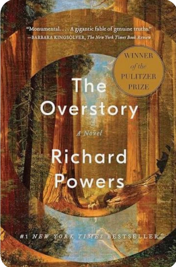 the overstory cover
