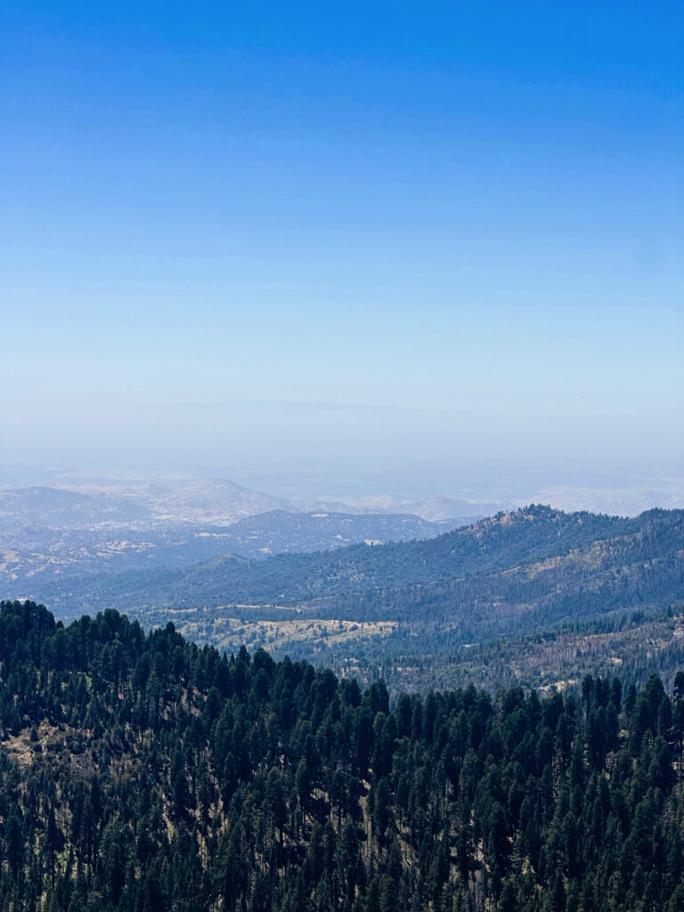 buena vista summit view