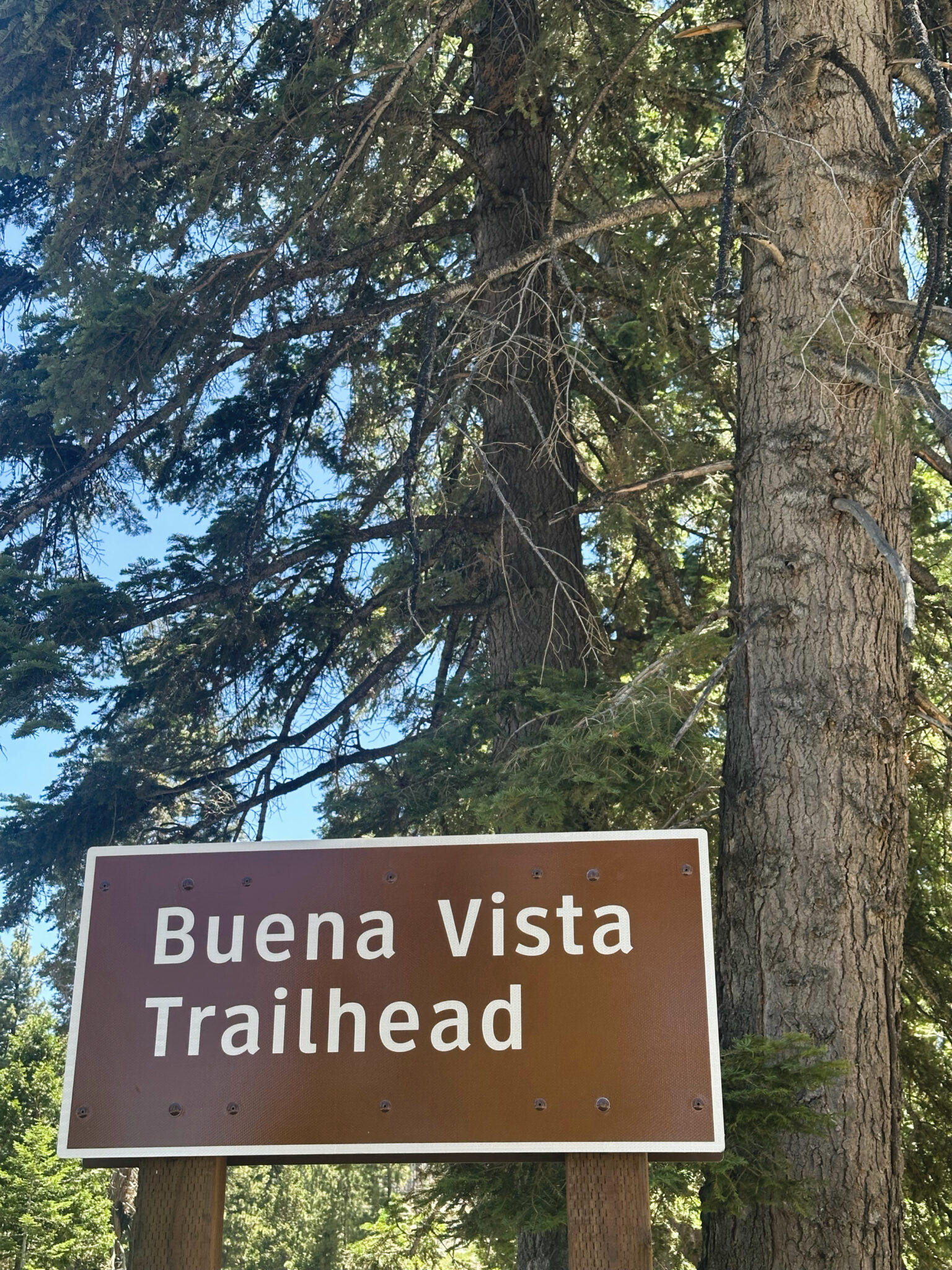 buena vista trailhead