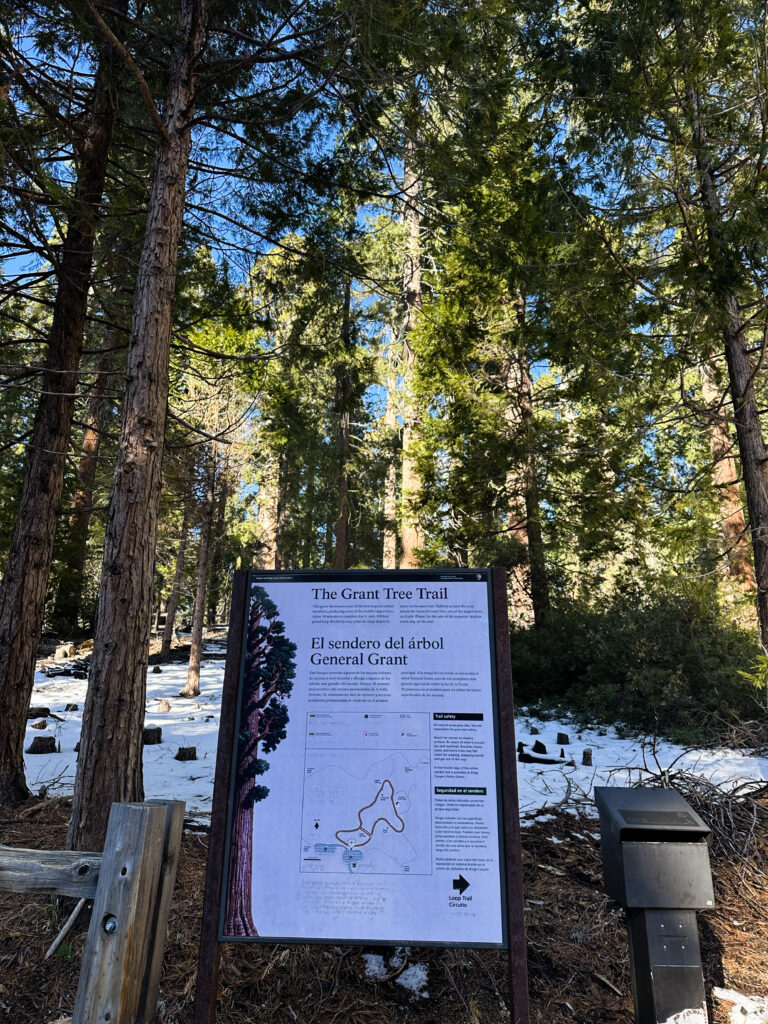 general grant tree trailhead