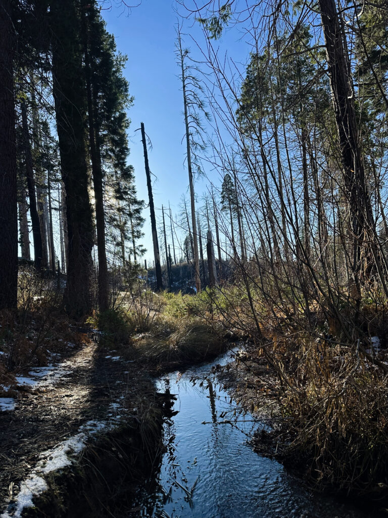 general grant tree trail