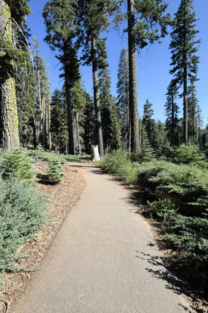 panoramic point trail