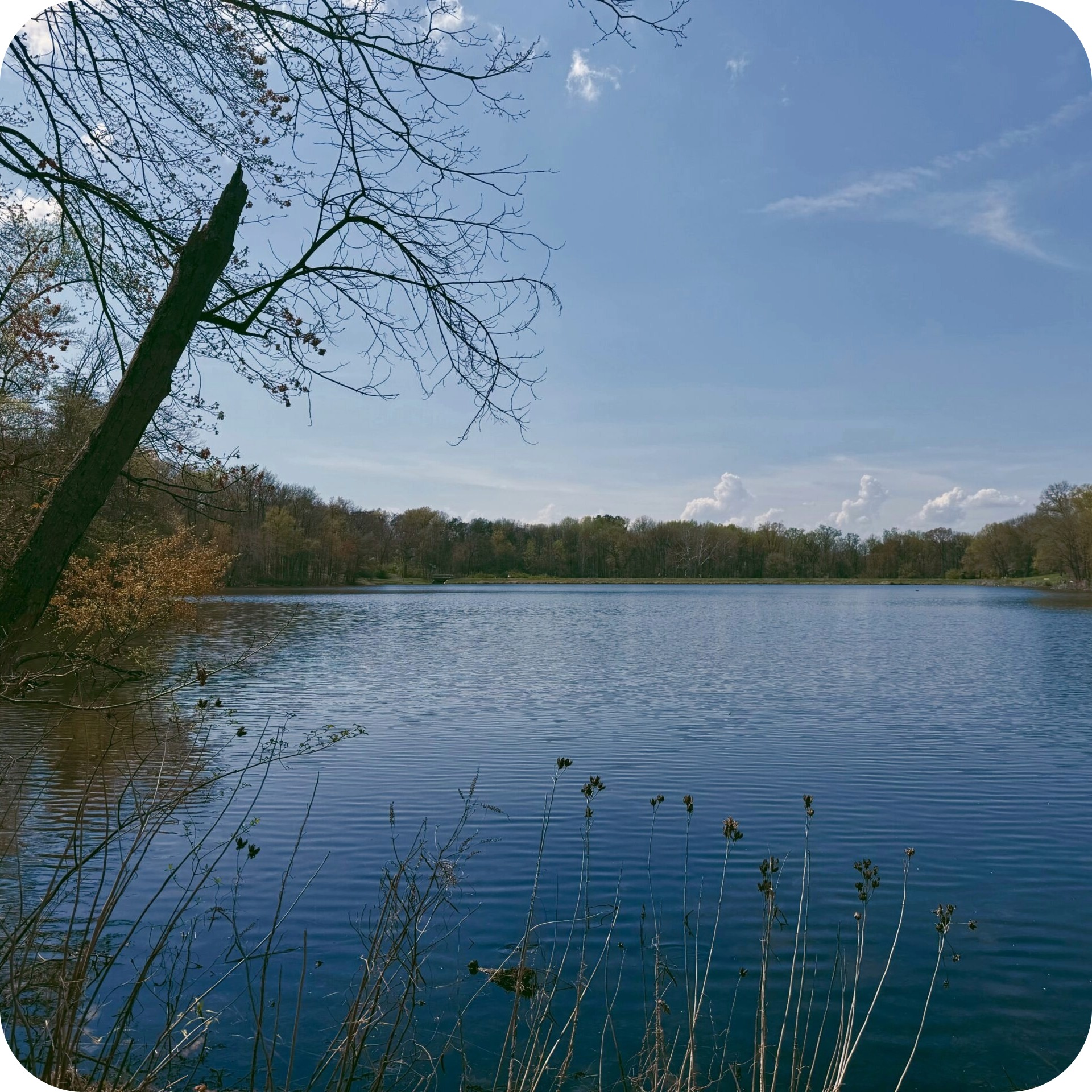 greenbelt lake 1 1.jpeg