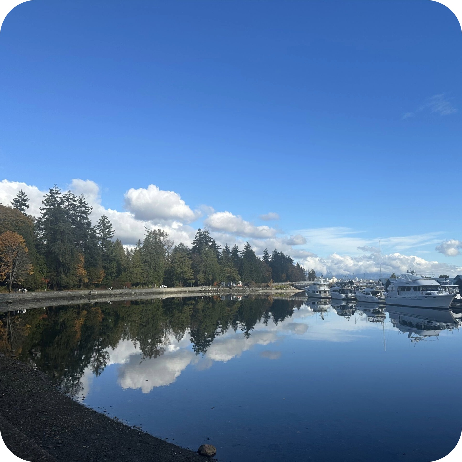 stanley park loop trail 1.jpeg