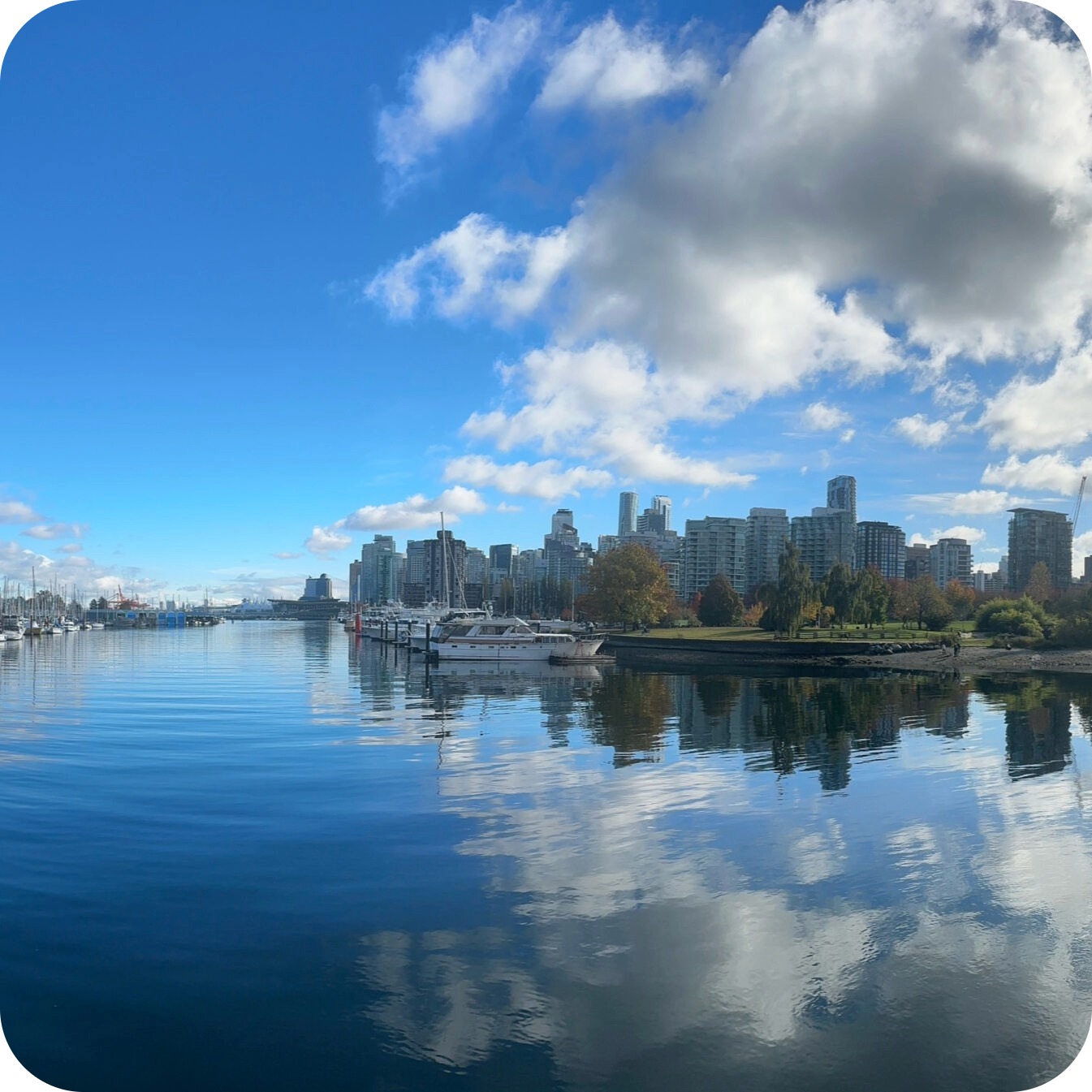 vancouver 1 1.jpeg