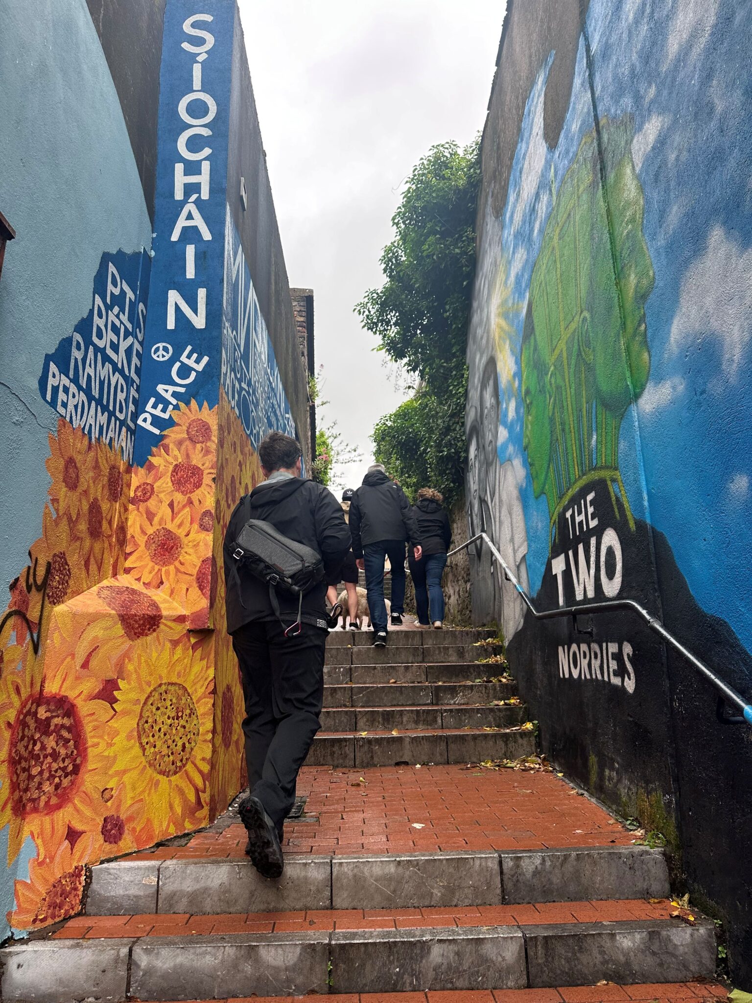 cork stairs