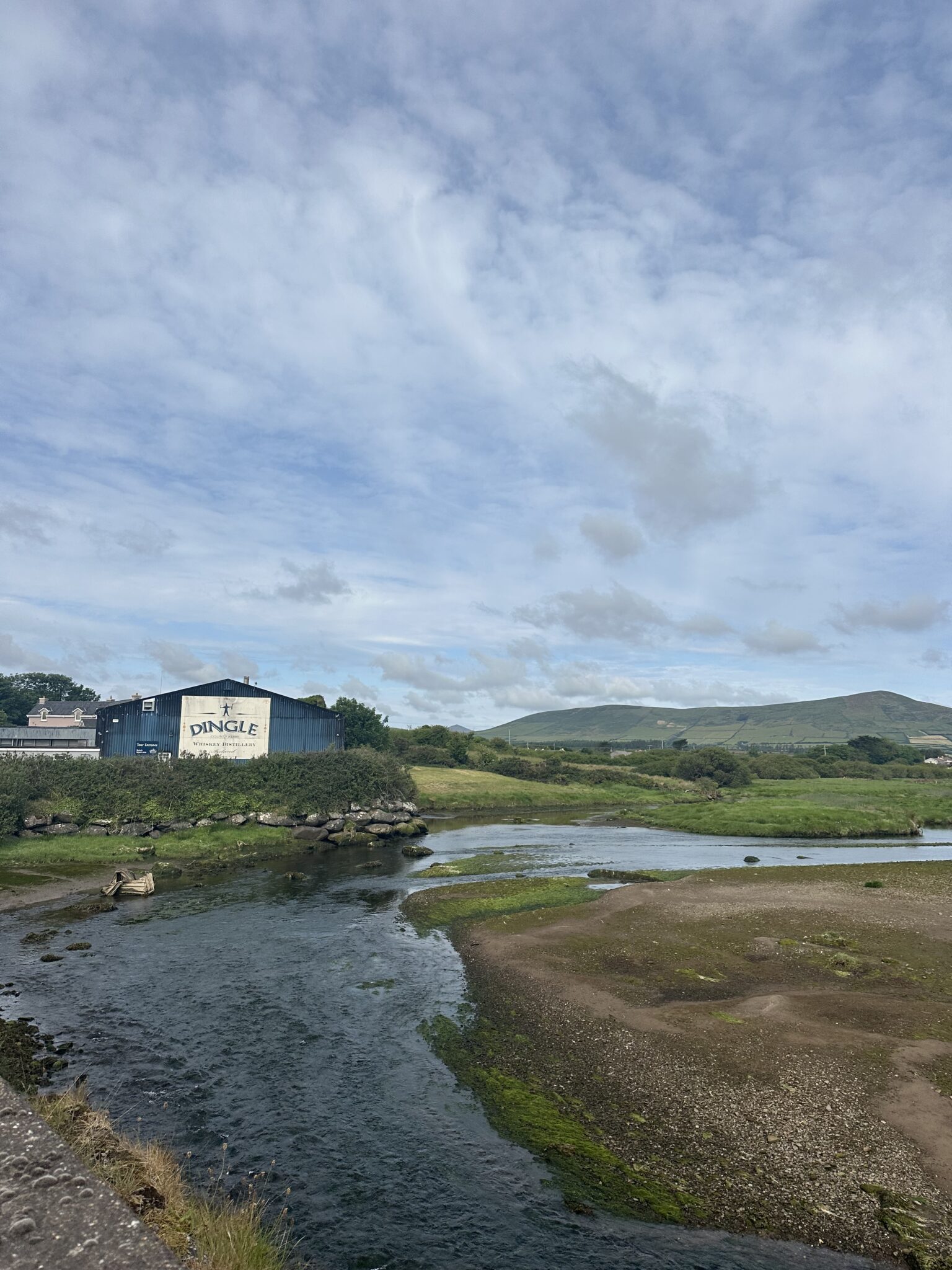 dingle trail in dingle