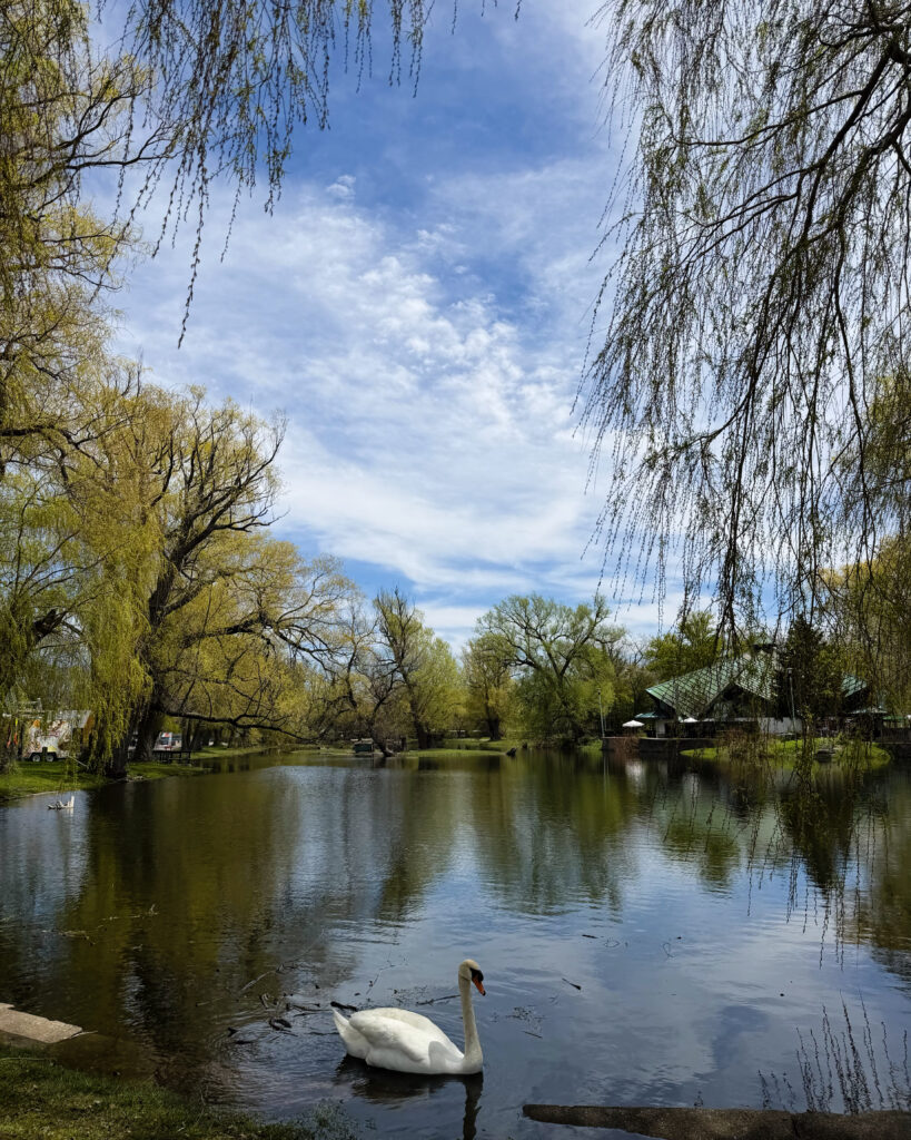 centre island toronto islands