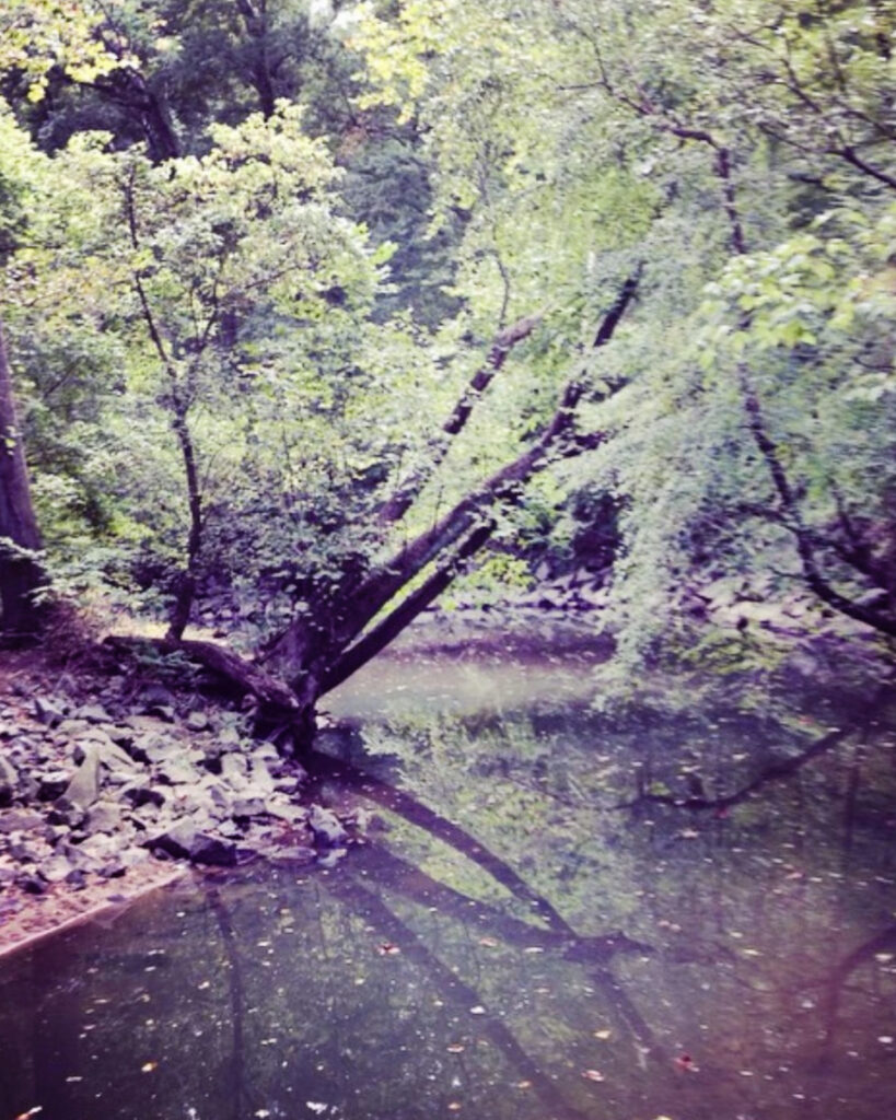 rock creek park washington DC
