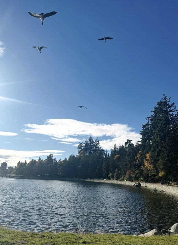 stanley park vancouver canada