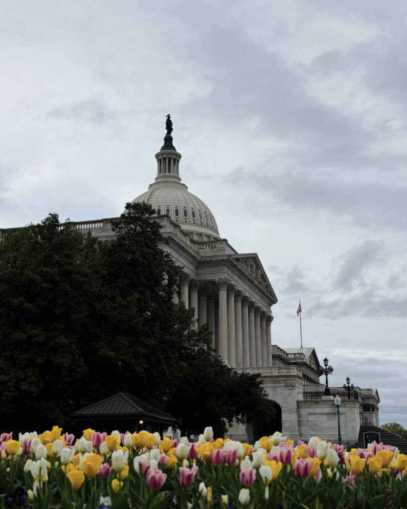 us capitol building in washington dc