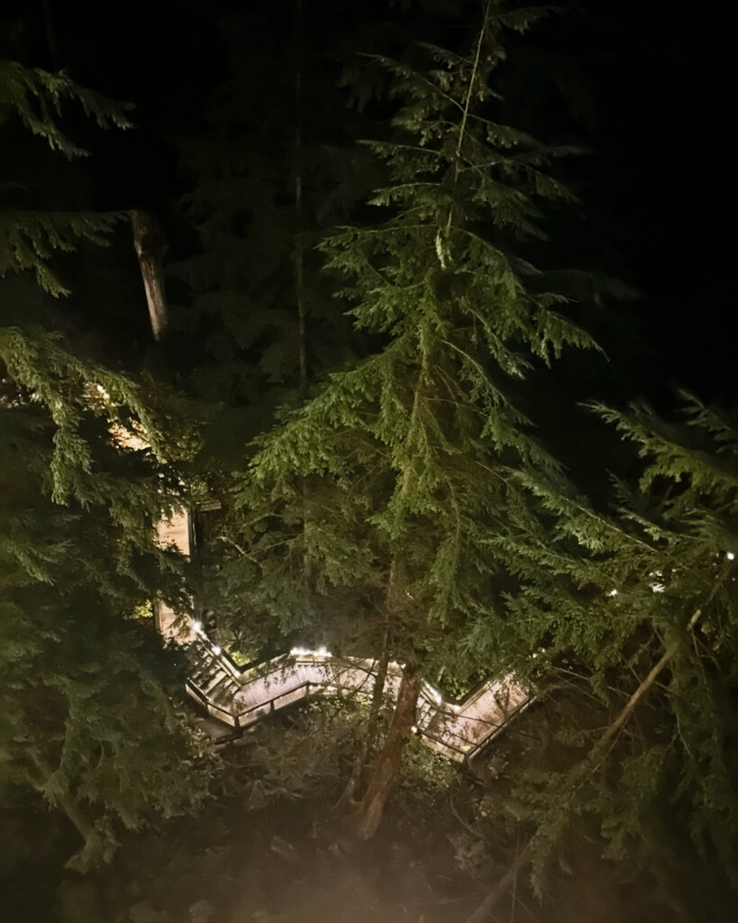 capilano suspension bridge park at night