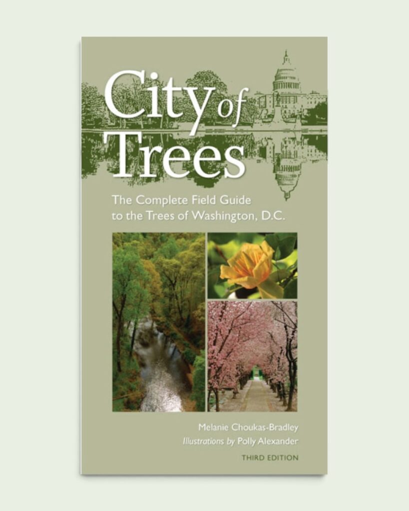 city of trees book cover