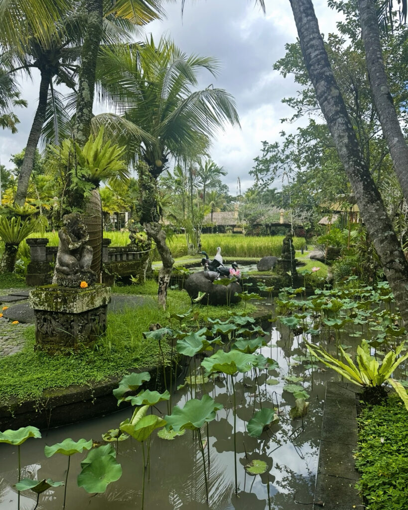 duck pond in ubud restaurant