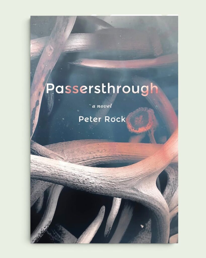 passersthrough book cover
