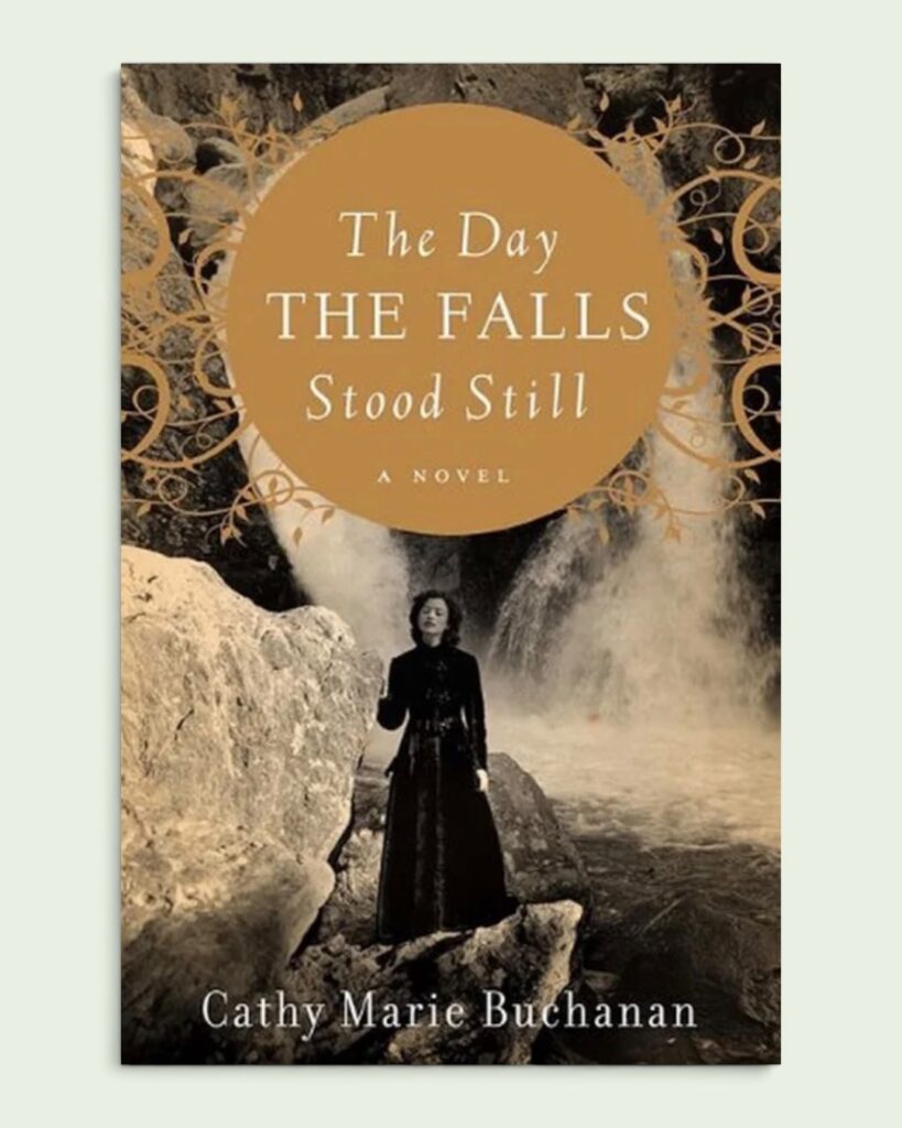 the day the falls stood still book cover