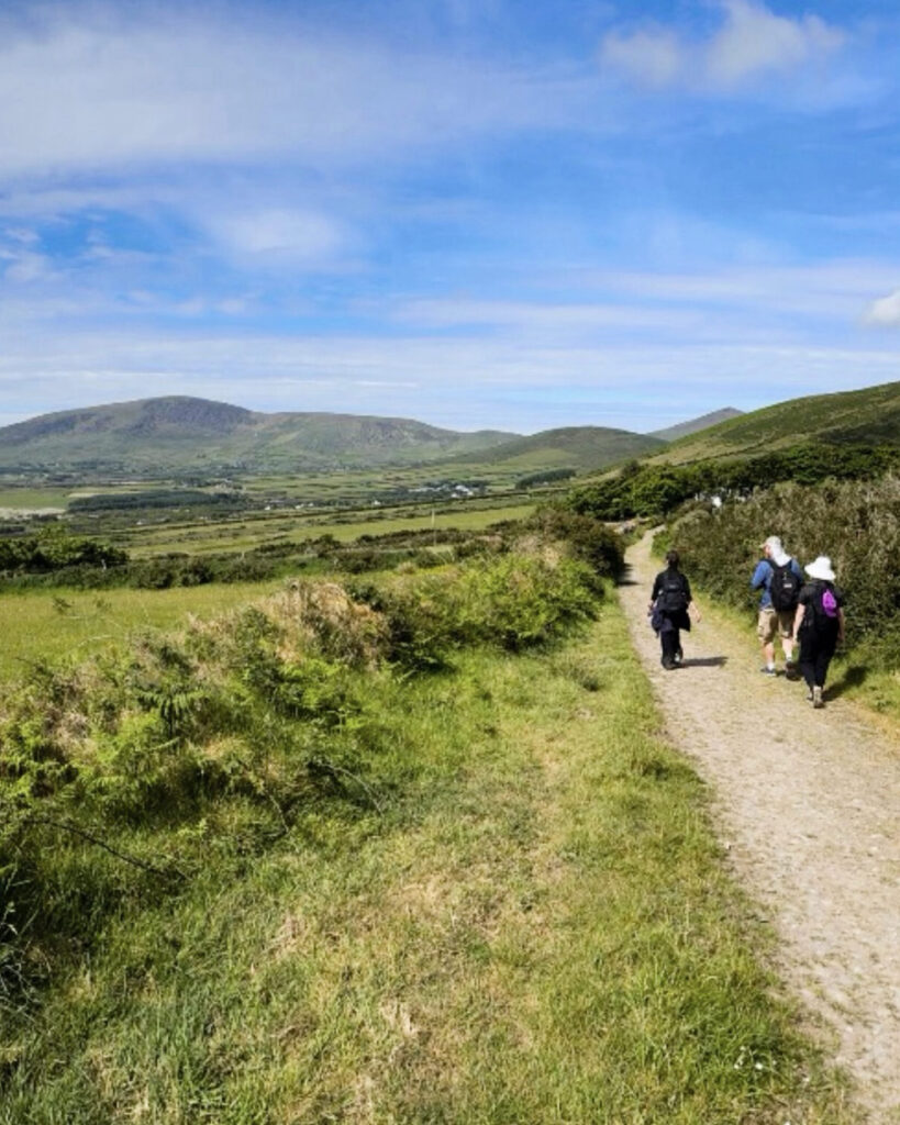walking along the dingle way in ireland