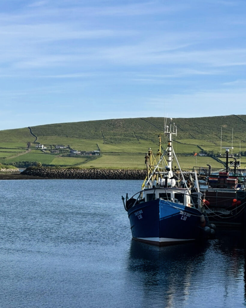 Dingle Harbor