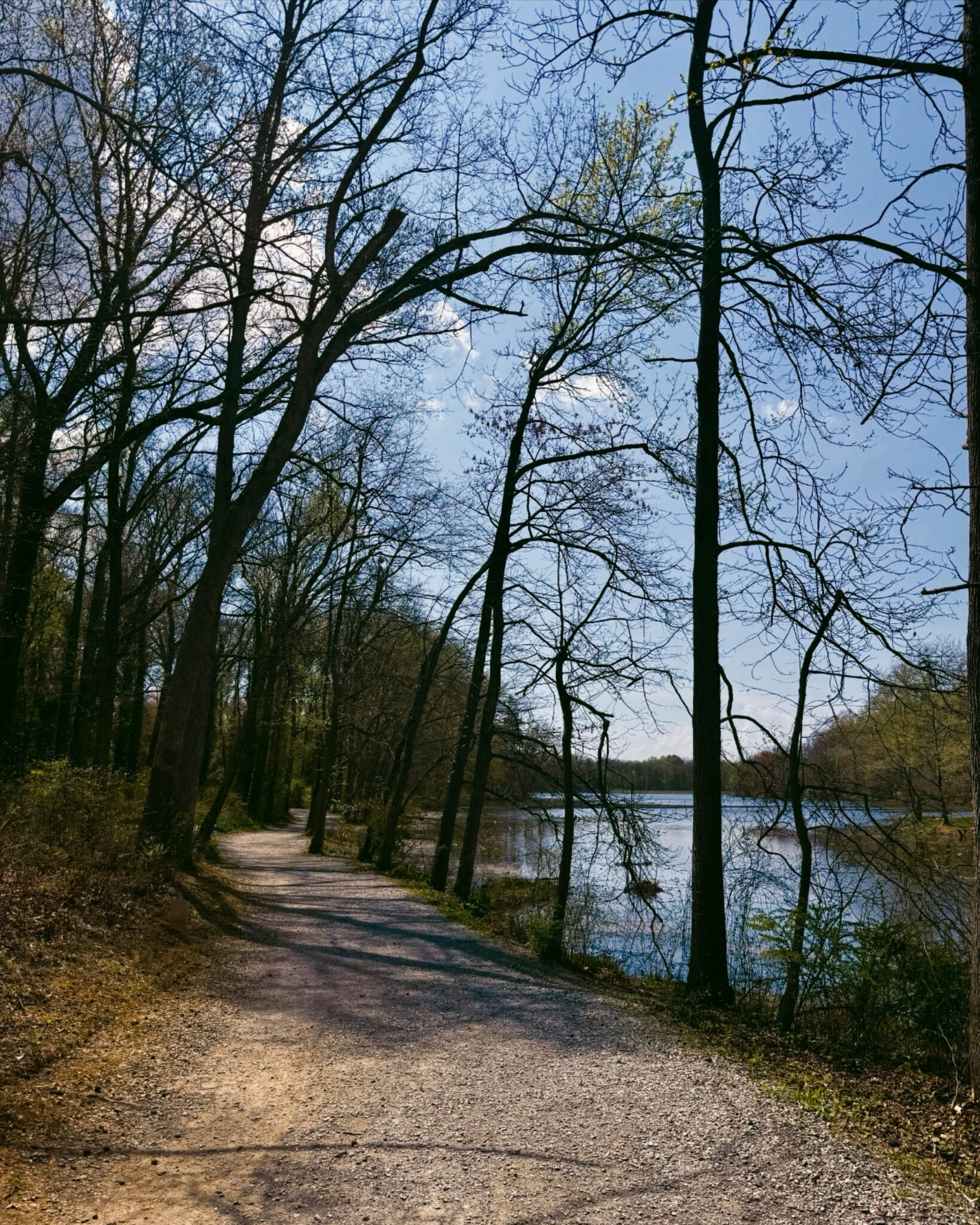 Buddy Attick Path