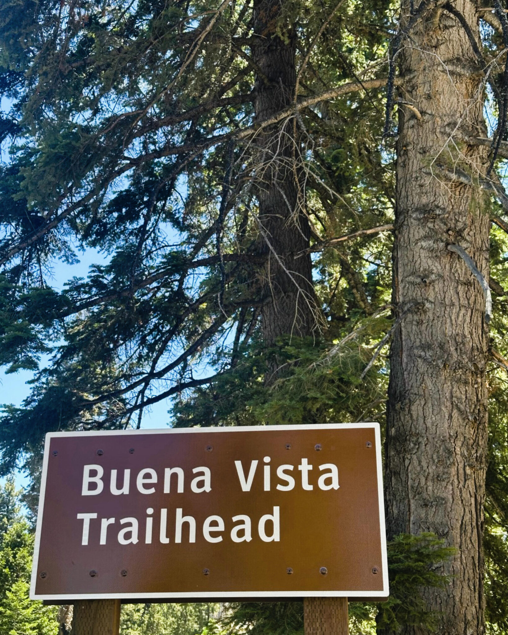 Buena Vista Trailhead