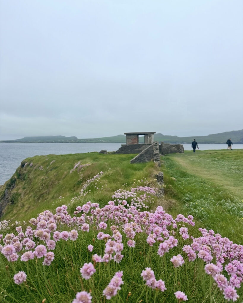 Dingle Coast