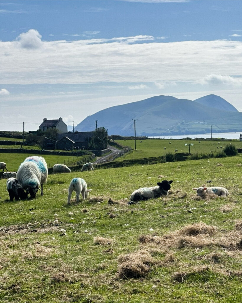 Dunquin