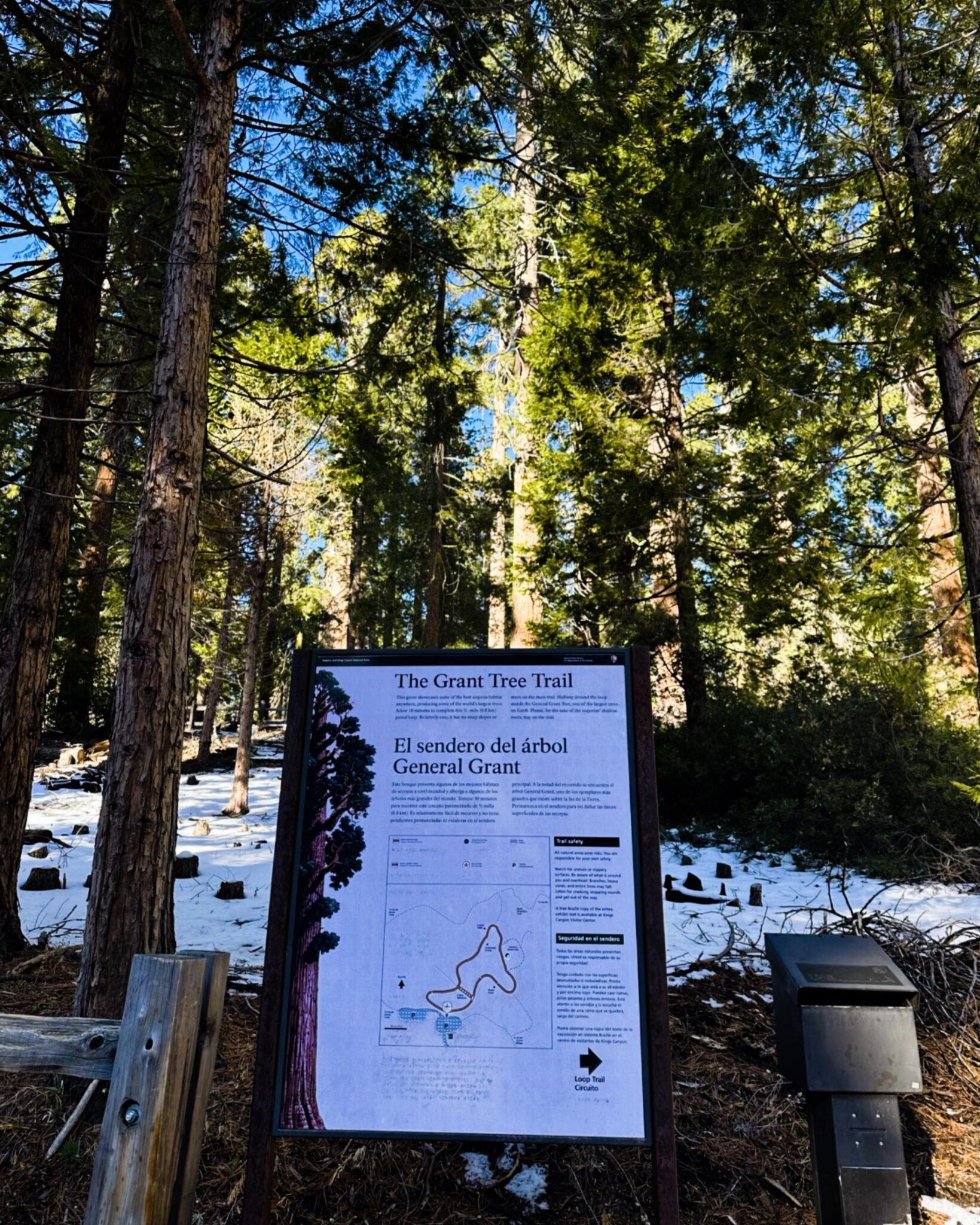 General Grant Trailhead