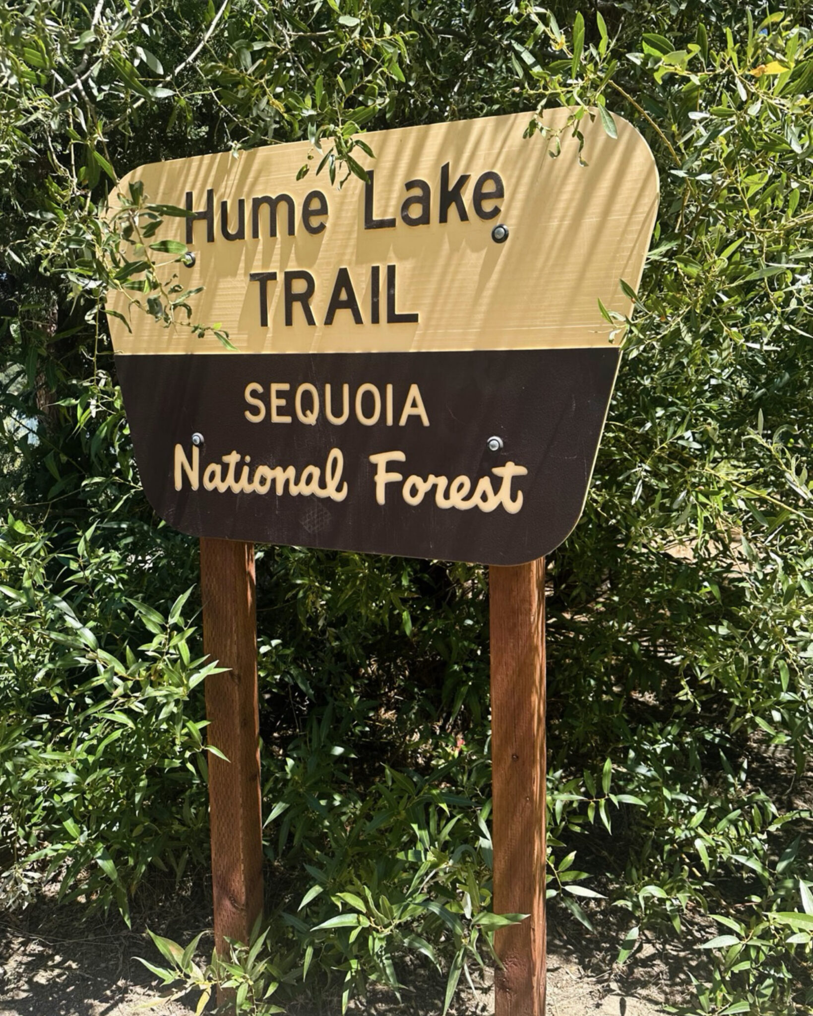 Hume Lake Sign