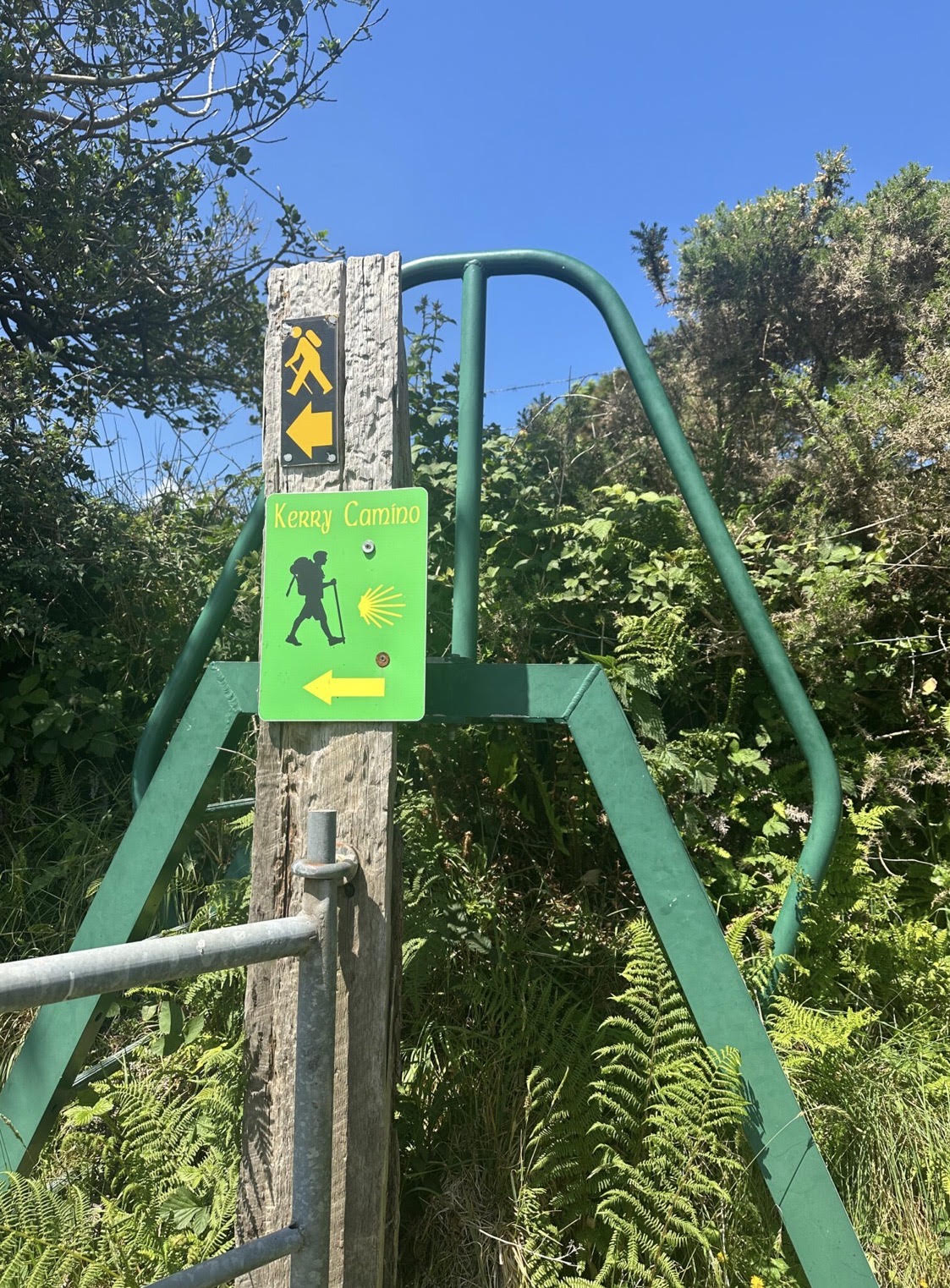 Dingle Way Ladder Stile