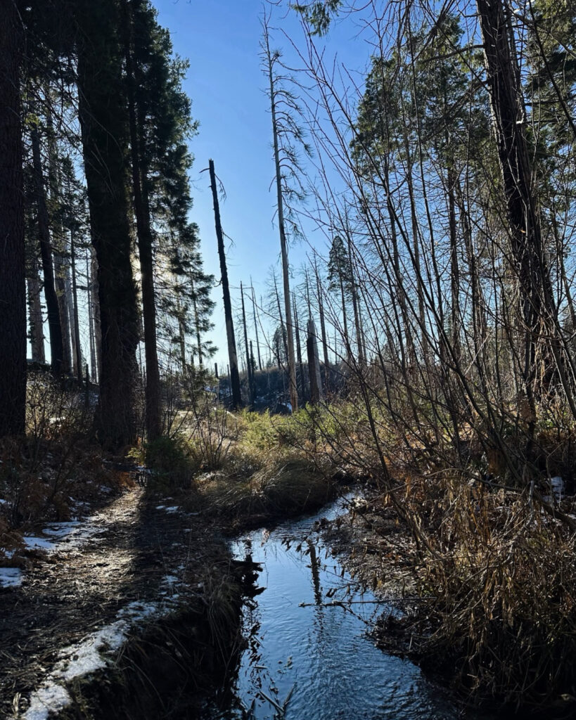 North Grove Trail Creek