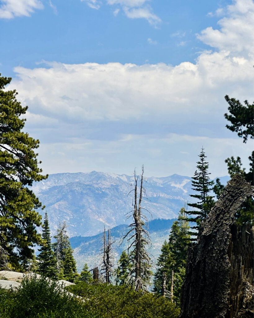 Panoramic Point Views