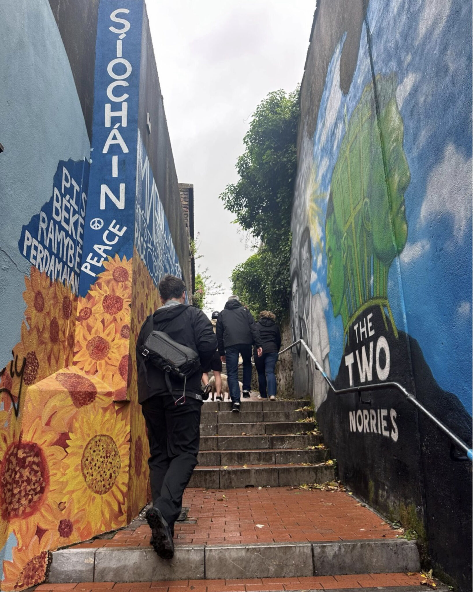 Stairs in Cork Ireland