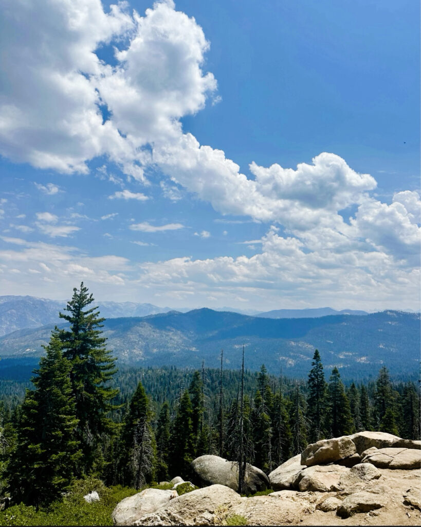 View at Panoramic Point
