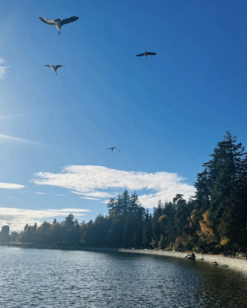 lost lagoon stanley park