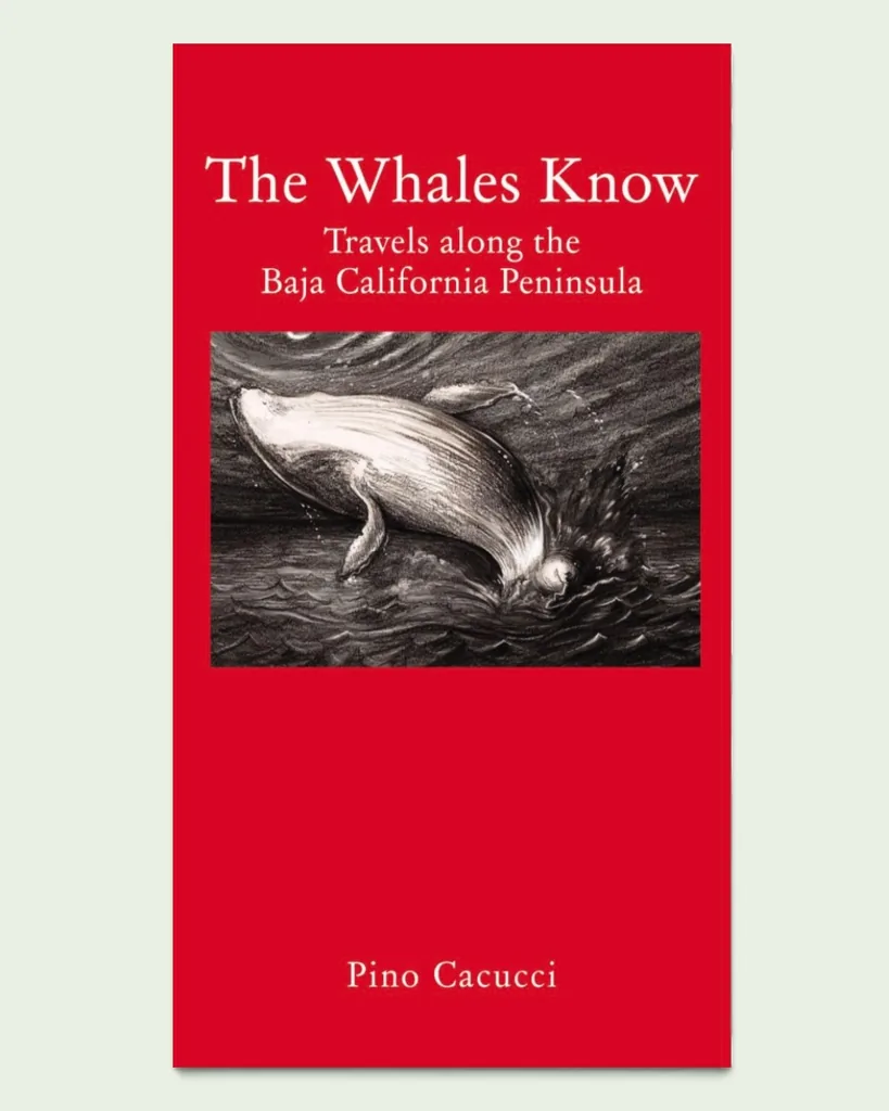the whales know book cover