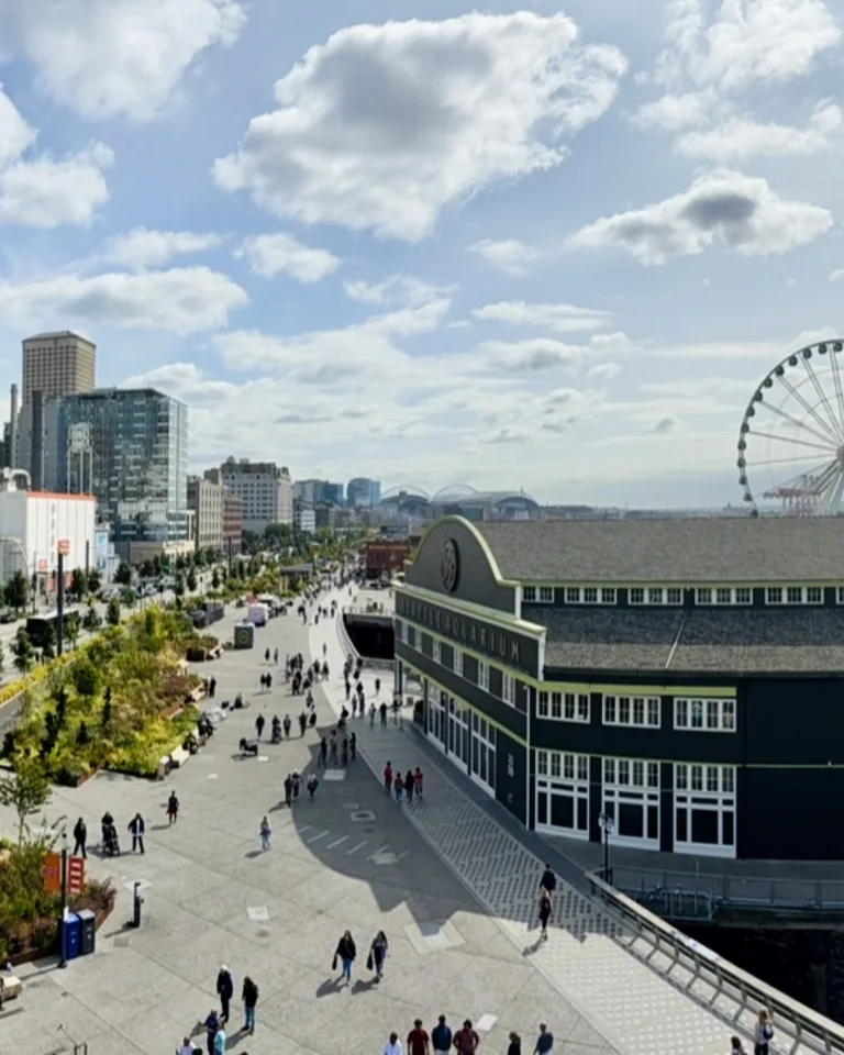 seattle waterfront great wheel aquarium