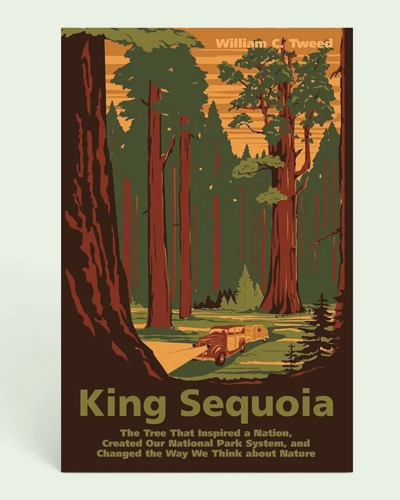 king sequoia book cover