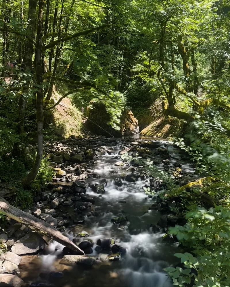 bridal veil creek