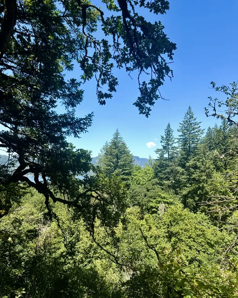bridal veil falls view
