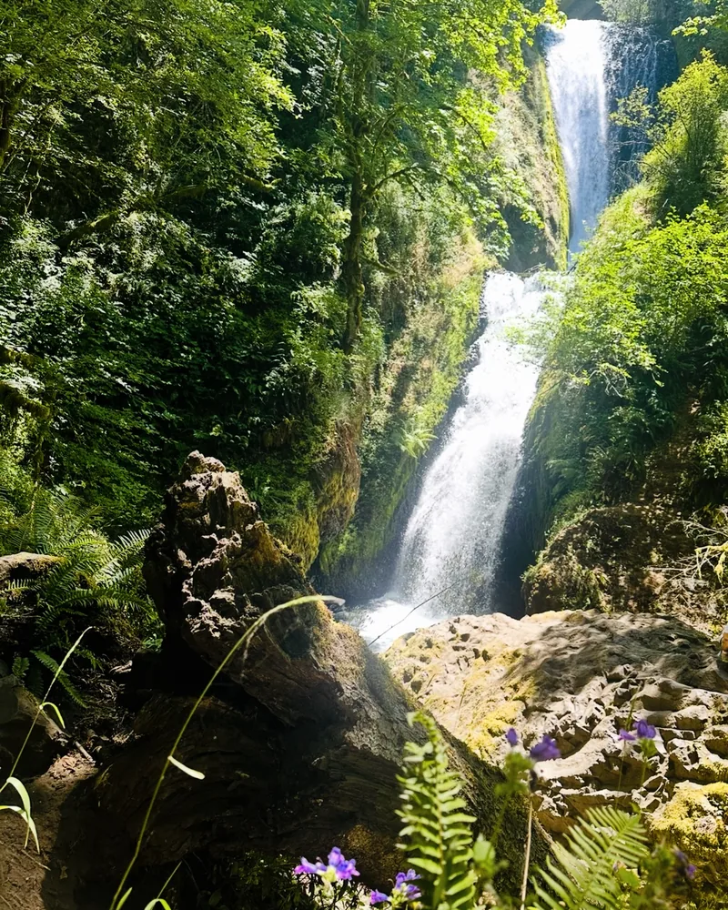 bridal veil falls with flowers