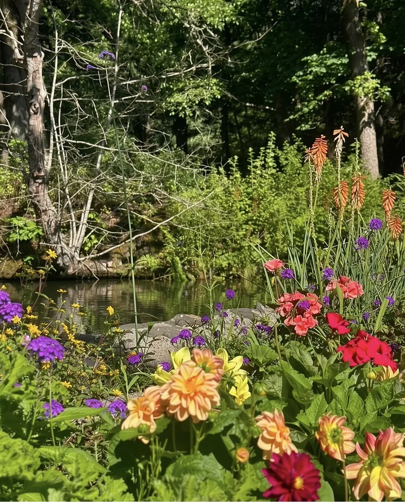 flowers lined ponds at the fish hatchery