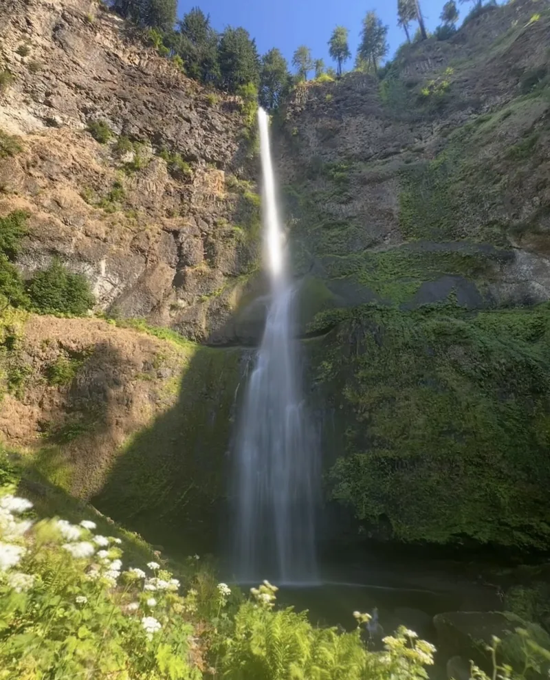 multnomah falls