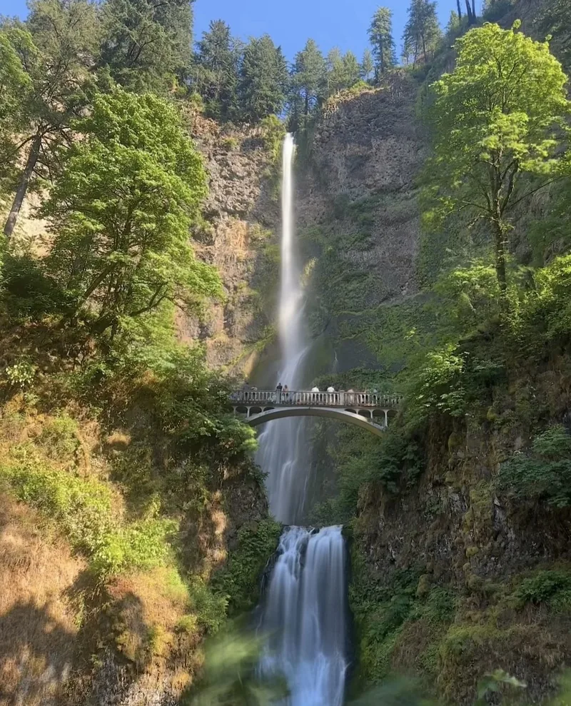multnomah falls and benson bridge