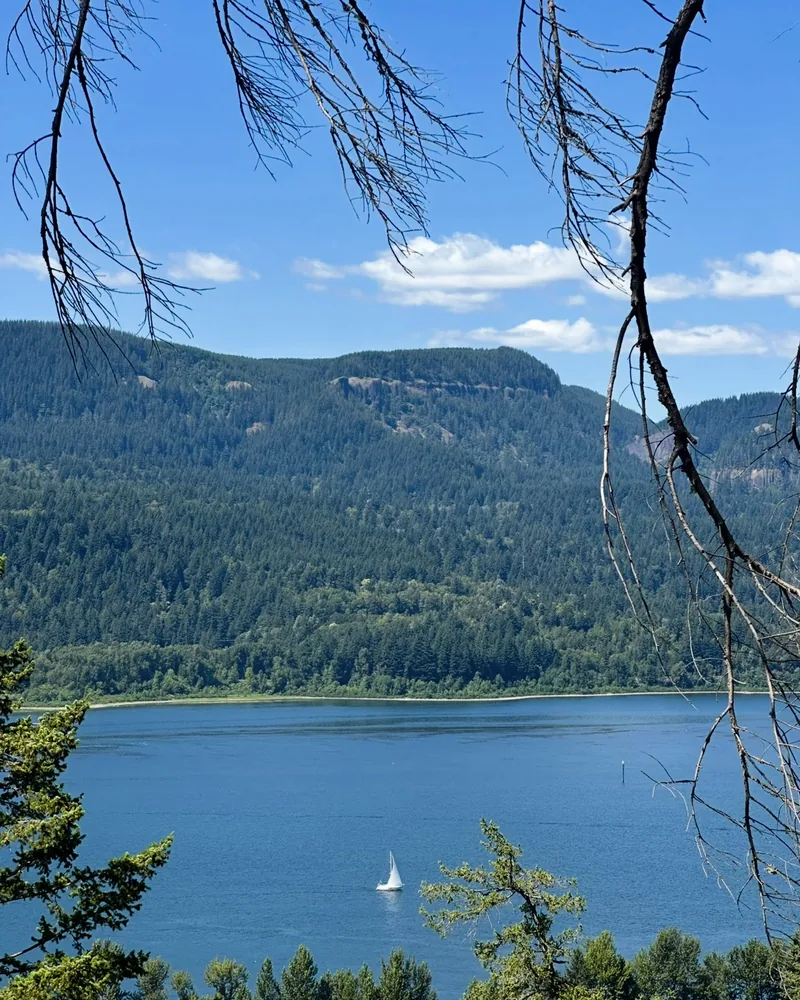 view of columbia river from trail